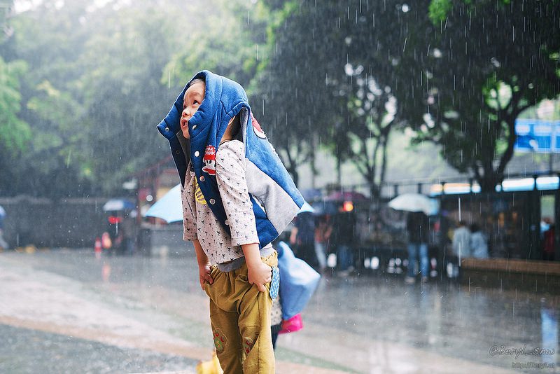 17 Photos That Prove You Can Capture Amazing Shots in Bad Weather
