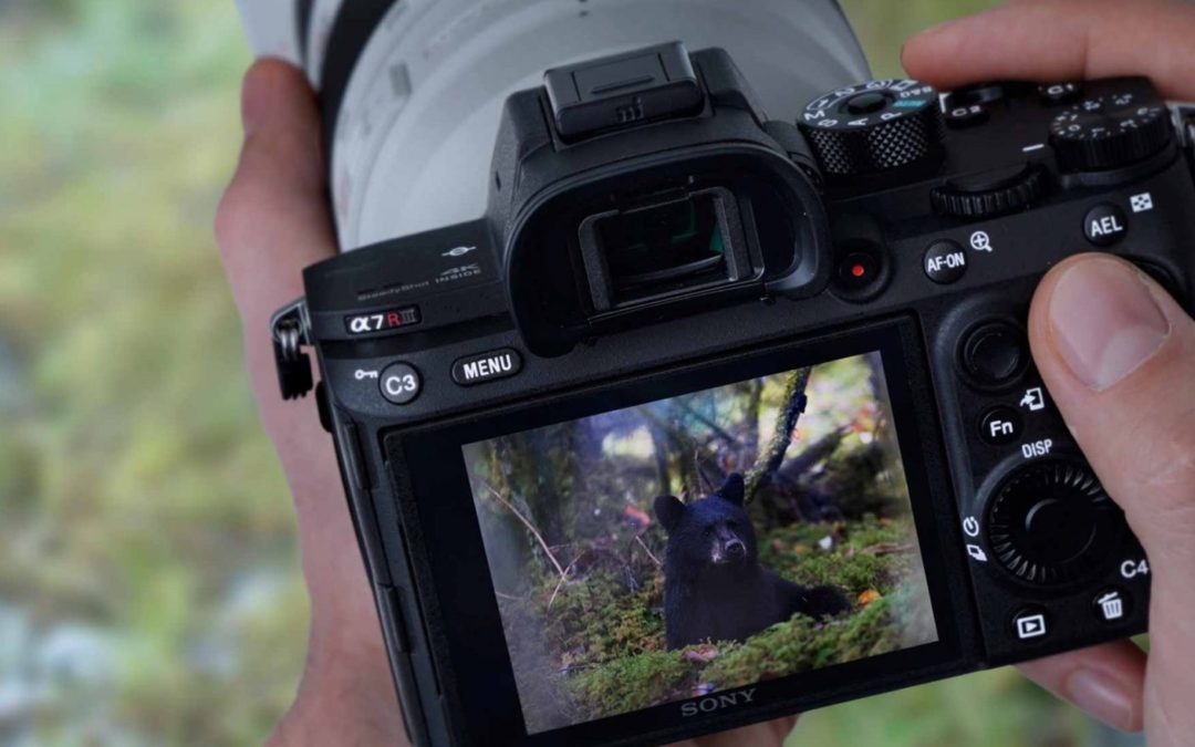 The New Sony a7R III 4K Full-Frame Camera – but no 10bit or 4K 60p!