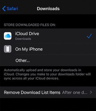 Two main options in Safari Download manager on iPhone